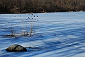 Lago Piccolo di Avigliana ghiacciato_068